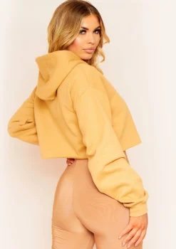 Aaliyah Gold Cropped Hoody