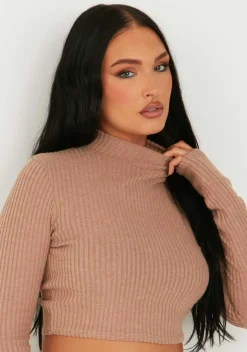 Billie Brown Rib High Neck Crop Top